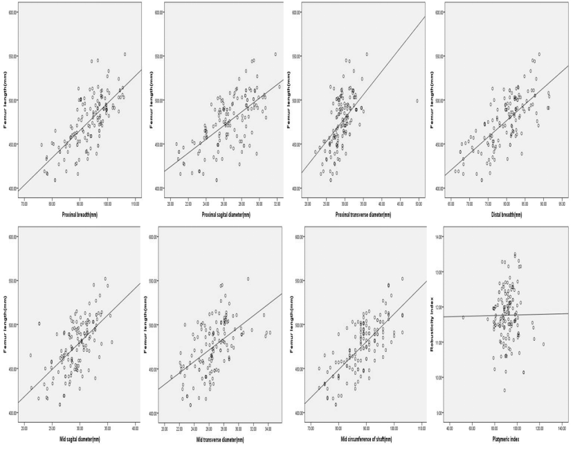 Figure 9: Correlation between femur parameters.