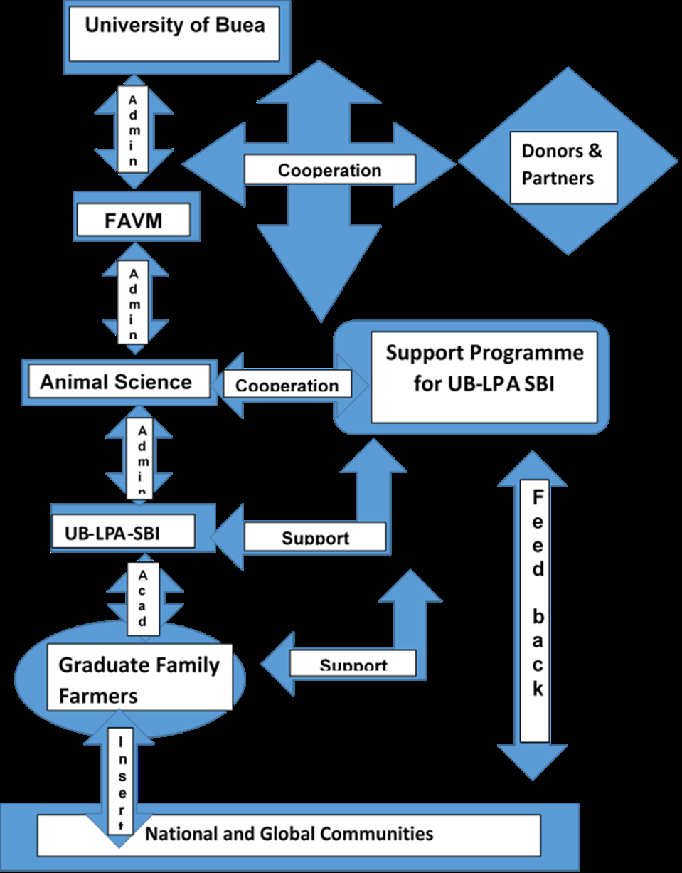 Figure 1: Relationship between Various Actors in the Business Incubator Programme (UB LPA SBI).