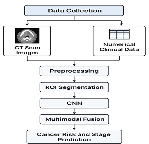 Figure 1: The diagram shows in mouth cancer Research flows of structure.