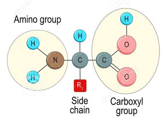 Figure 1: RNA structure.
