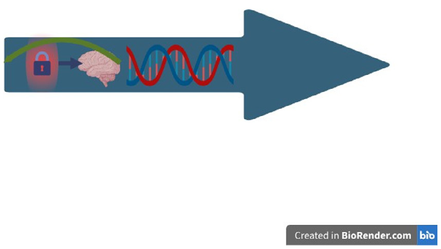 Figure 2: Neuro-epigenetic Piloting Architecture (Science 4.0).