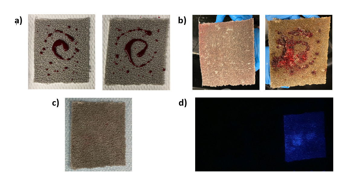 Figure 3: Results from Treatment 6-30 Minute Samples. Photographs Were Taken Of Carpet Samples Containing Fresh And Aged Blood After Treatment (Scrubbing And Rinsing) And Analyzed With Luminol. Blood Was Applied To The Carpet Samples A: And Allowed To Dry For 30 Minutes, And Soaked In 300 Ml Of Water (Left – B) Or Coca-Cola (Right B). After 2 Hours, The Carpet Samples Were Removed From The Liquid, Then Subjected To Treatment (C) Scrub Followed By A Rinse Under A Steady Stream Of Water. The Carpet Samples Were Then Analyzed With Luminol (D) After The Samples Were Dried.