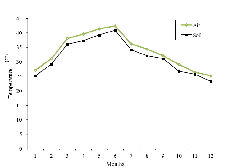 Figure 2: Mean monthly air and soil temperature as recorded at Rawakeeb soil during the survey period (source: ENDDRI2022).