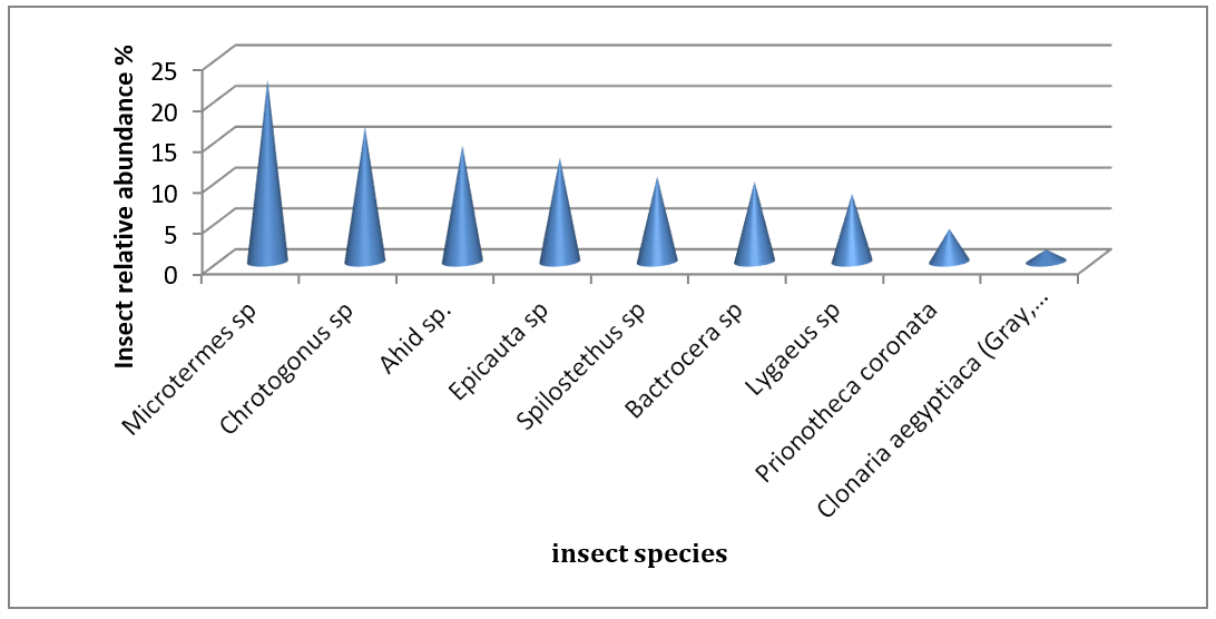 Figure 3: The relative abundance rank or Wittker plotused to rank the obtained species according to the log value of their representative numbers and the results are shown in Table 3 and Figure 4. The figure shows that the sespecies are arranged in descending order as follows: decreasing order of Microtermes sp >Chrotogonus sp > Ahid sp >Epicauta sp >Spilostethus sp>Bactrocera sp>Lygaeus sp>Prionotheca coronata>Clonaria aegyptiaca.