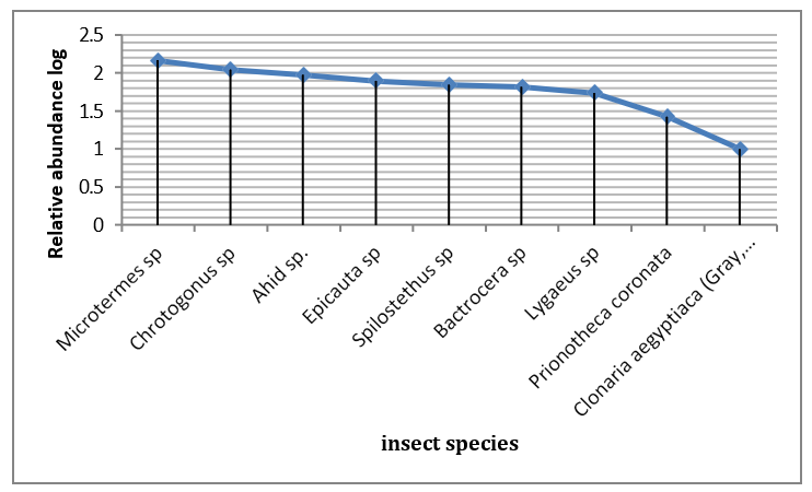 Figure 4: Insects species abundance curve rank (Whittakerplot).