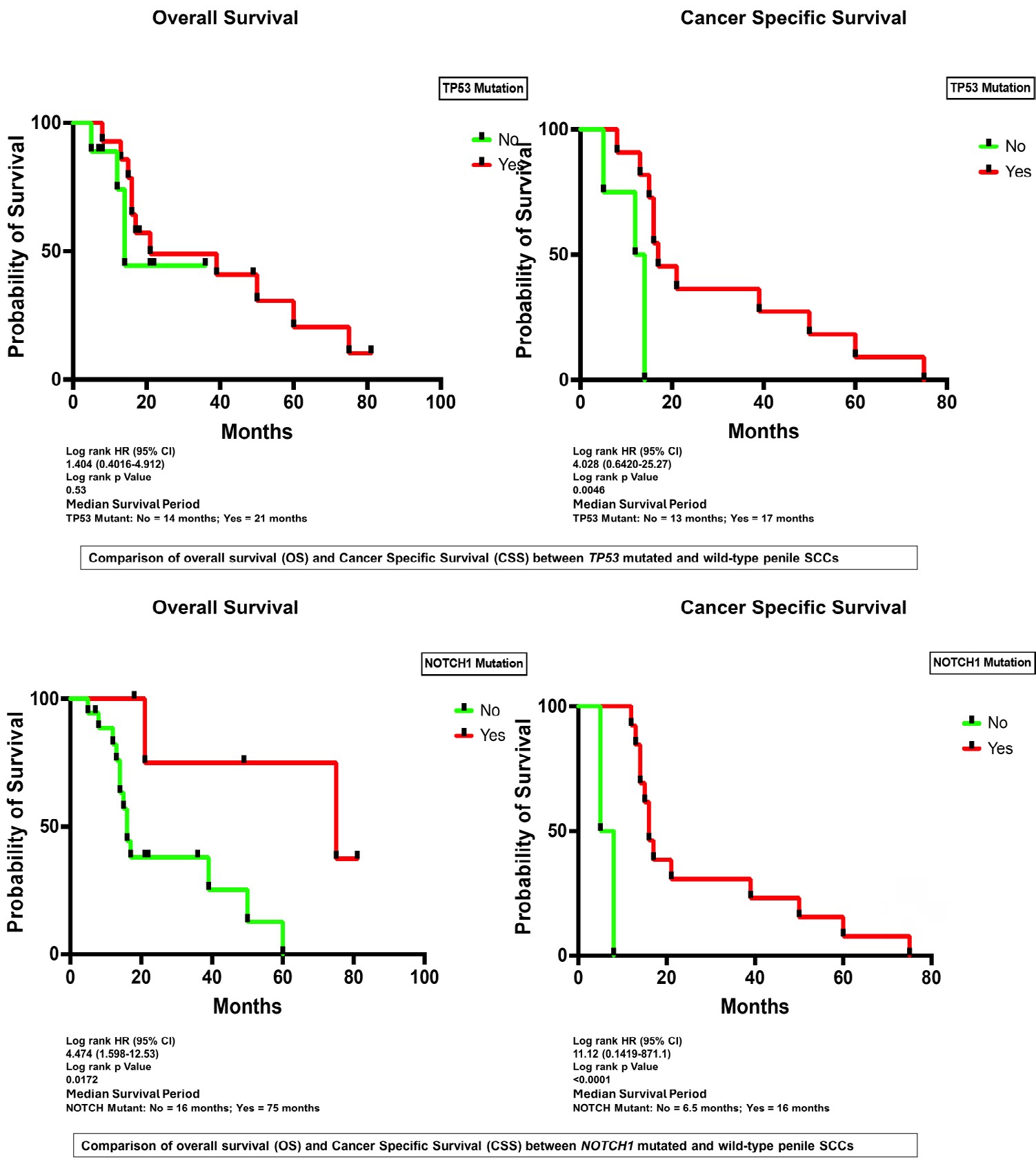 Figure 3: Correlation matrix representing association between co-occurrence of mutations in patients with penile SCCs, Pearson r values are in bold and p values in regular fonts.