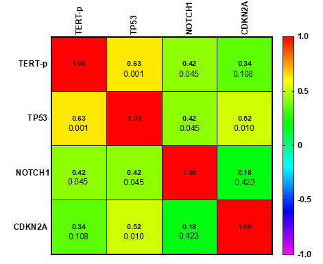 Figure 4: Comparison of overall survival (OS) and Cancer Specific Survival (CSS) between Wildtype, Co-occurrence of TP53 and TERT-P mutation and single TP53 and TERP-P mutation in penile SCCs.