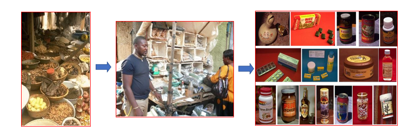 Figure 3: The commercialization of food and medicinal products from indigenous tropical/subtropical trees can be enhanced from the traditional and informal village markets to embrace cottage industries as well as value-adding through new business enterprises and wider trade.