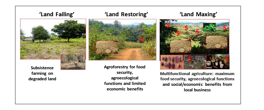 Figure 4: The cultivation of domesticated and indigenous food and medicinal tree species can restore failing farming systems by restoring agroecological functions and then generating the income needed to maximize the benefits and deliver the five capitals of sustainable development (Source: Leakey, 2024).