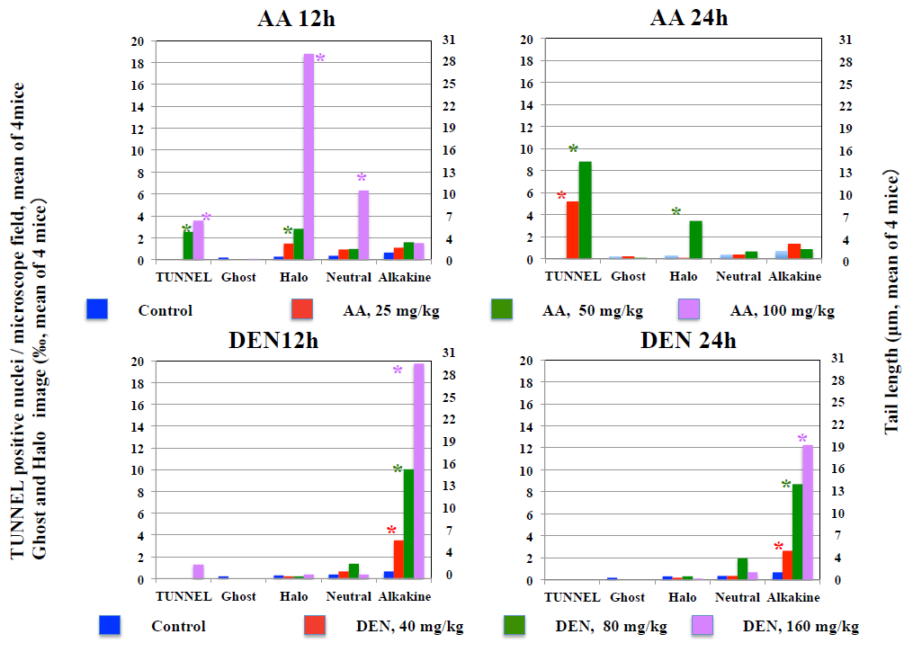 Figure 4: Results of TUNNEL assay, diffusion assay, and neutral comet assay, and alkaline comet assay in the liver.