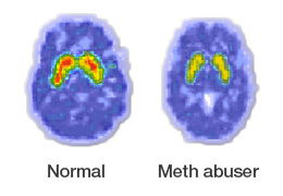 Figure 1: Key of Diagnosis and Treatment.