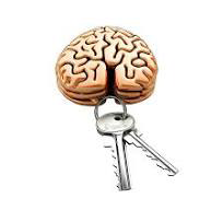 Figure 2: How Many Neurons Are in the Brain?