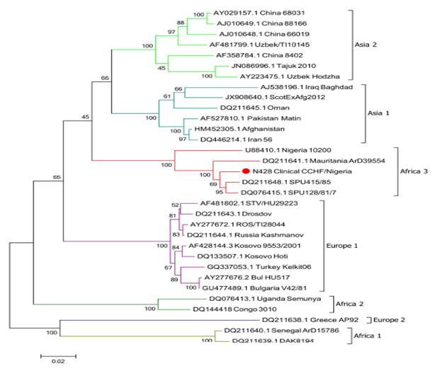 Figure 2: Maximum-Likelihood phylogenetic tree showing relationship distances obtained by comparing CCHFV S segment open-reading frames. Different CCHFV cladws are indicated by coloured lines [20].