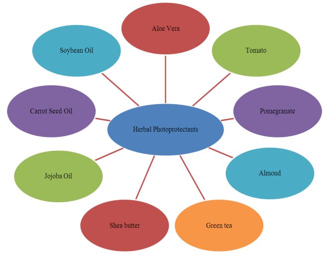 Figure 1: Examples of herbal photo protectants.