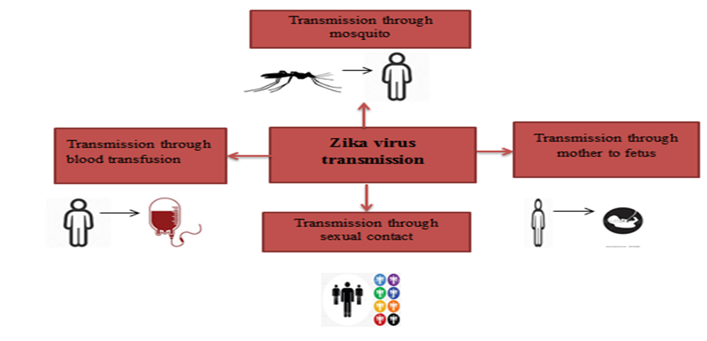 Figure 2: Manifestation of Zika virus.