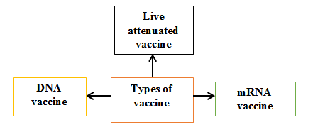 Figure 3: Route of transmission of Zika virus.