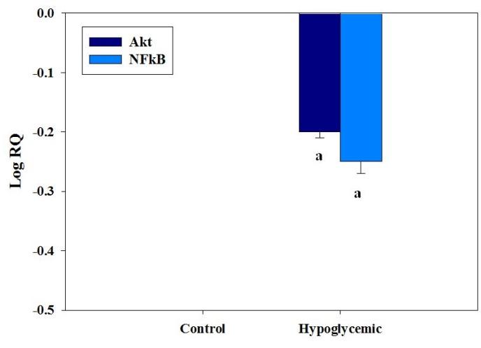 Figure 6: A) Cell survival signaling mediated by BDNF. B) Effect of neonatal hypoglycaemia on cell survival signaling.