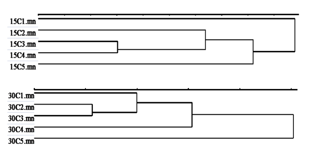 Figure 3: Over the entire wavelength, the red-edge region (680-780 nm) was specifically inspected. It was observed that reflectance started to increase at 680 nm and decrease at 754 nm in both spectral signatures. The first band (i.e. 680 nm) was located at far red region, indicating a point of maximum absorption of sun light. The second band (i.e. 754 nm) was a first steep slopeat the NIR region (Figure 3). Both these spectral bands were pursued for RS analysis (Figures 1-3).
