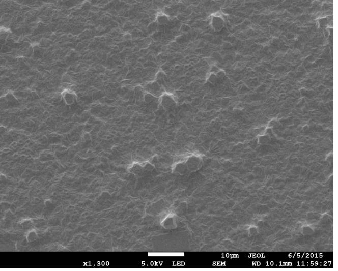 Figure 4: FESEM images of raloxifene HCl loaded transfersomes (TS-80) composed of PC90G and sorbitan 80. Magnification: 1300 times.