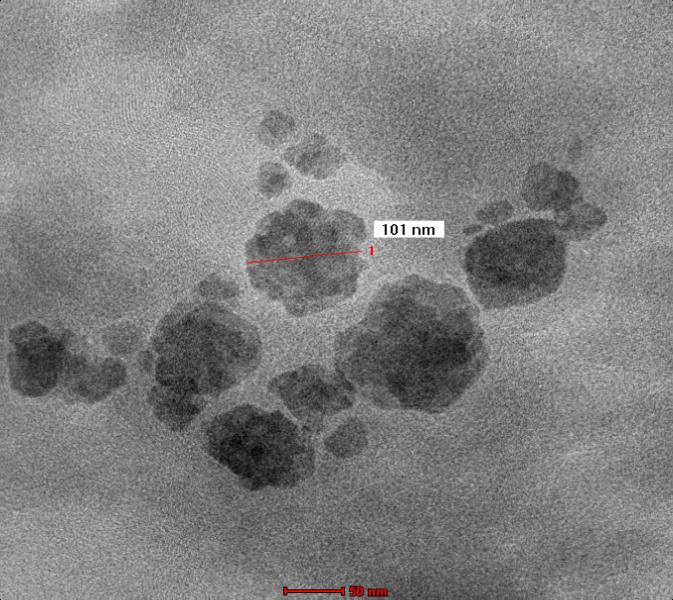 Figure 5: TEM photomicrograph of raloxifene HCl loaded transfersomes (TS-80) composed of PC90G and sorbitan 80. Magnification: 46000 times.