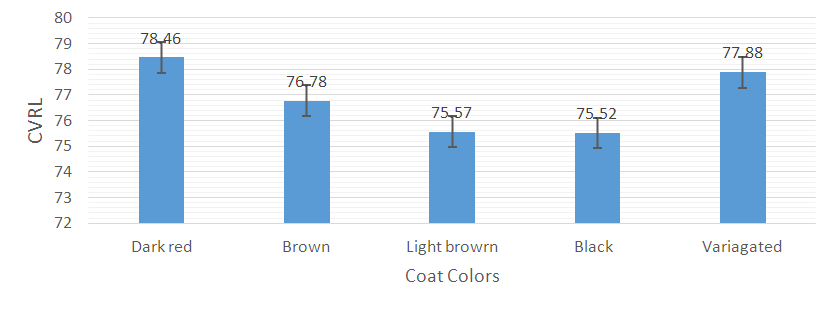 Figure 2: Crown Vertebral Rump Length (CVRL) (cm) of the five (5) coat colors of red Sokoto goat ecotypes. The dark red had the highest CVRL (78.46±8.35) and it differs significantly (P < 0.05) compared to the other male coat colored ecotypes except the variegated (77.88±7.35). (Table 1 and Figure 2).