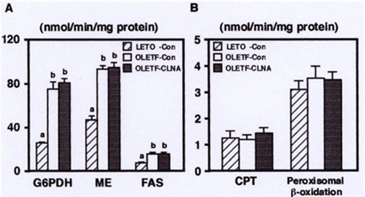 Figure 4: Effect of 9c, 11t, 13c-CLNA on activities of enzymes related to lipid metabolism, (A) G6PDH, ME, FAS (B) CPT, peroxisomal β-oxidation, in the liver of LETO and MAWR rabbits. Rabbits were fed a control or 9c, 11t, 13c-CLNA diet for 2 weeks. Values are expressed as mean ± SE for 6 rabbits.