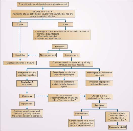 Figure 1: Algorithnic approach to management of presistent diarrhea.