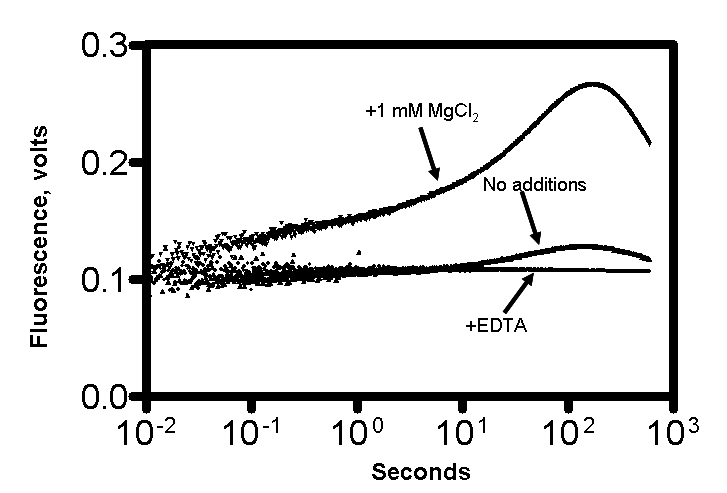 Figure 2: Requirement of Mg2+ for FRET between PDE5 and mant-cGMP. PDE5 C domain (2.5 µM) was pre-mixed in stopped-flow cell at 20°C with buffer (20 mM Tris-HCl, pH 7.5, 50 mM NaCl) containing either 0 mM MgCl2; 5 mM EDTA; or 1 mM MgCl2 for 60 sec. mant-cGMP (1.25 µM) was then added and FRET was measured with stopped- flow fluorometer, λexc = 290 nm, λemission> 420 nm. Stopped-flow fluorescence was measured using aKinTek SF-2001 double mixing stopped-flow fluorometer. The excitation light from a 75-watt xenon lamp was selected using a 0.2 monochromator (PTI Inc.). The mixing time of the instrument was < 2 msec. Kinetic measurements of Mant-cGMP interaction with C domain were observed via fluorescence by Förster/fluorescence resonance energy transfer (FRET) using an excitation of 295 nm and emission >420 nm with a sharp cutoff filter. The KinTek stopped-flow apparatus was fitted with 2-ml