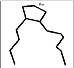 Figure 6: Proline in polypeptide change making rigid turn [17].