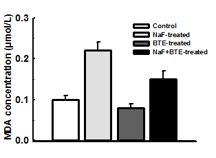 Figure 3: A: Effect of administration of BTE on cerebellar Glucose-6- Phosphate dehydrogenase, B: Lactate dehydrogenase, C: Glutathione peroxidase Activities in NaF-treated adult male rats. Data are expressed as mean±S.E.M. n=5. Data were analysed by one-way ANOVA followed by Bonferroni _post hoc test._ (_* p_<0.05 vs control, # _p_<0.05 vs NaF).