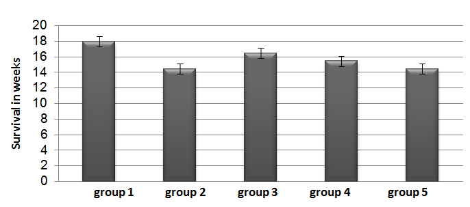 Figure 2: Mean survival in weeks in different groups (mean ±SE).