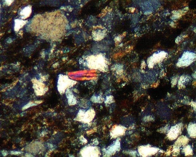 Figure 13: SEM images of sandstone recovered from NH(B)(depth=3836-3839m) showing Kaolinite books.