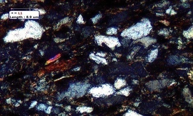 Figure 8: Thin section images of sandstone recovered from NH(B) (depth=3836-3839m) showing the presence of quartz, mica.