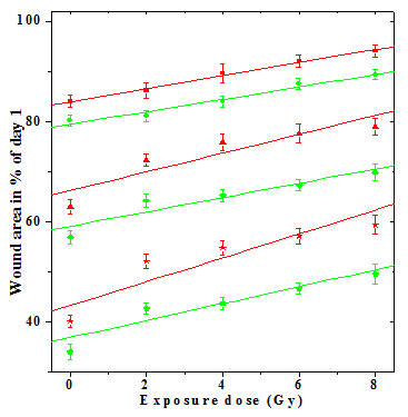 Figure 2: Effect of hesperidin treatment on the contraction of wound with time in mice exposed to various doses of whole-body γ−radiation. Squares: CMC+Irradiation 3 day; Circles: HPD+Irradiation 3 day; Triangles: CMC+Irradiation 6 day; Diamonds: HPD+ Irradiation 6 day; Stars: CMC+Irradiation 9 day and Pentagons: HPD+ Irradiation 9 day post wounding.