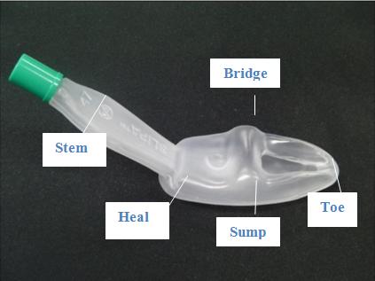 Figure 8: Baska airway.