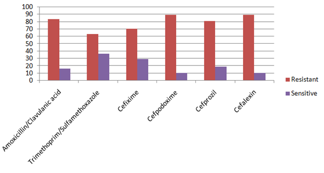Figure 1: Pattern of Escherichia coli Resistant & Sensitive. Total Isolates: 60