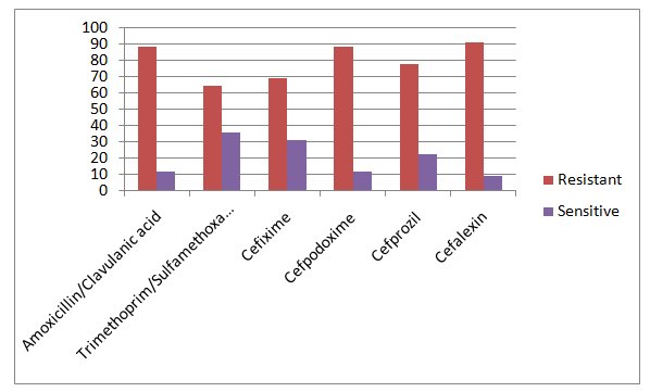 Figure 4: Pattern of Escherichia coli Resistant & Sensitive. Total Isolates: 40