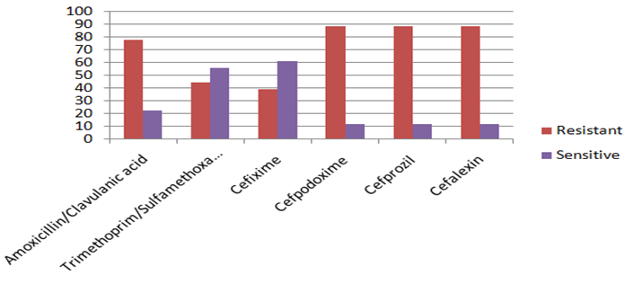 Figure 6: Pattern of Others Gram Negative Bacilli Resistant & Sensitive. Total Isolates: 46