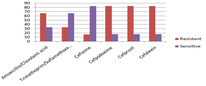 Figure 9: Pattern of Others Gram Negative Bacilli Resistant & Sensitive.