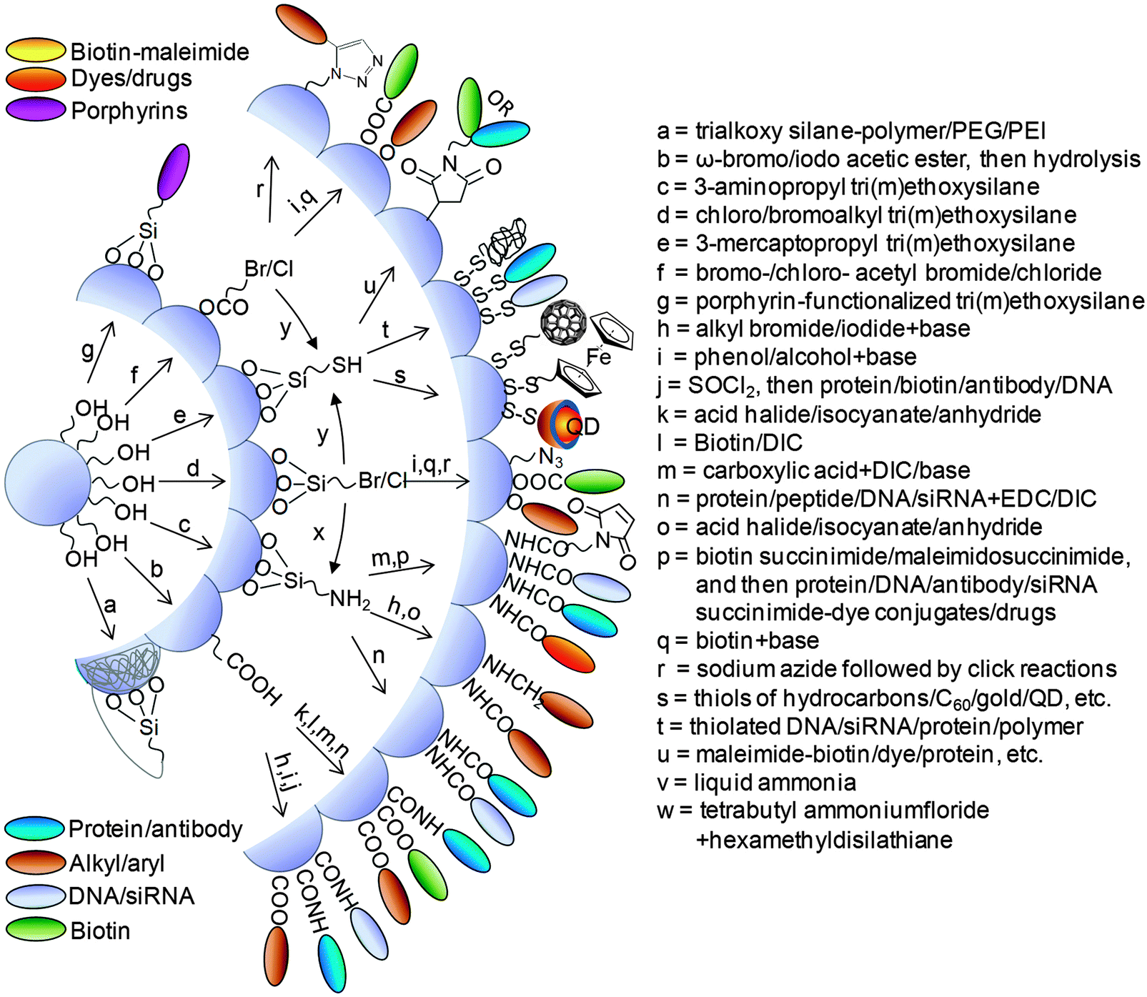 Figure 1: The typical chemical functionalization and bioconjugation methods pf MSNs. Reproduced from [34] with permission from the Centre National de la Recherche Scientifique (CNRS) and The Royal Society of Chemistry.