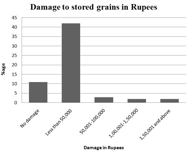 Figure 17: Showing damage to stored grains in Rupees. Everywhere flood when affects infrastructure of that area occurs. In Shore Kot area flood affects the infrastructure including houses, roads, schools, irrigation canal, telephone line, and electricity line. Detail of damage to the infrastructure in the study area is shown in Figure 18.