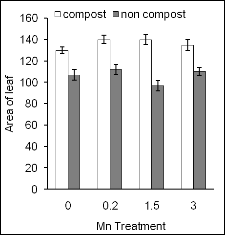 Figure 2: Effects of different concentration of Mn on chlorophyll content of leaves of sweet potato in the presence of compost (open square) and absence of compost (open triangle). Error bars indicate standard deviation with 5 replicates.