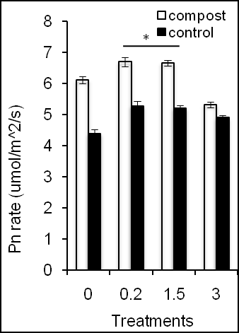 Figure 5: Effects of different concentration of Mn on numbers of tuber (a) and weight of tuber (b) of sweet potato in the presence of compost (open bars) and absence of compost (closed bars). Error bars indicate standard deviation with 5 replicates. In contrast, compost application significantly induced numbers of tuber than Mn-untreated and -treated plants (Figure 5a; under 0 ppm of Mn). But compost application did not affect numbers of tuber when data were compared between Mn-treated and Mn-untreated plants. These results indicate that compost-induced numbers of tuber production was not affected by the different concentrations of Mn (Figure 5a). Weight of tuber was consistent with numbers of tuber (Figure 5b). This result suggests that compost induced Mn-induced corn production in low fertile soil.