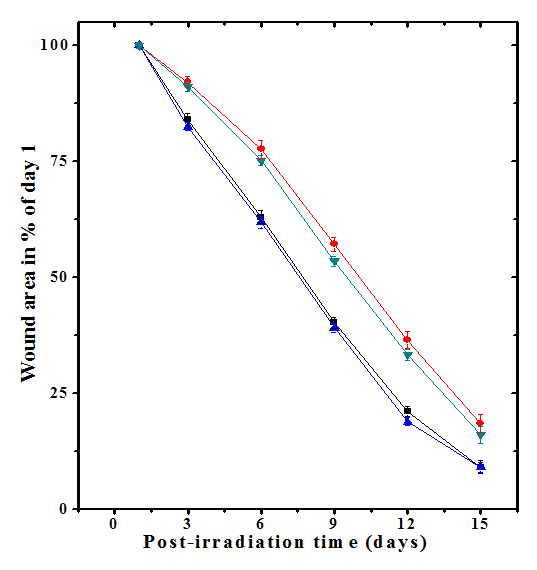 Figure 1: Acceleration of healing of deep cutaneous excision wound in mice treated with 10 mg/kg body weight hesperidin before exposure to 6 Gy of γ- radiation. Squares: Carboxymethylcellulose; Circles: Hesperidin; Up triangles: Carboxymethylcellulose +Irradiation and Down triangles: Hesperidin +Irradiation.