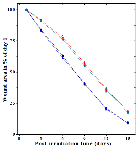 Figure 2: Acceleration of healing of deep cutaneous excision wound in mice treated with 20 mg/kg body weight hesperidin before exposure to 6 Gy of γ- radiation. Squares: Carboxymethylcellulose; Circles: Hesperidin; Up triangles: Carboxymethylcellulose +Irradiation and Down triangles: Hesperidin +Irradiation.