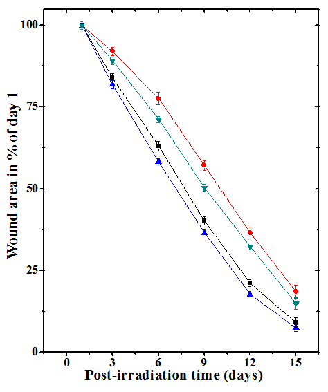Figure 3: Acceleration of healing of deep cutaneous excision wound in mice treated with 50 mg/kg body weight hesperidin before exposure to 6 Gy of γ- radiation. Squares: Carboxymethylcellulose; Circles: Hesperidin; Up triangles: Carboxymethylcellulose +Irradiation and Down triangles: Hesperidin +Irradiation.
