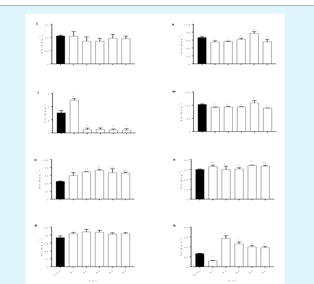 Figure 2: Non-essential amino acid composition of muscle tissue (mgg-¹) of snakehead feddifferent P-POM inclusion levels; j) alanine k) aspartic acid l) cysteine m) glutamic acid n) glycine o) proline p) serine q) tyrosine. All values are mean ± SD, obtained from three replicates. Values with different superscript letters are significantly different (P< 0.05).
