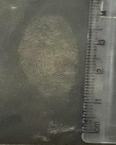 Figure 8: Development of latent fingerprints on nonstick utensils