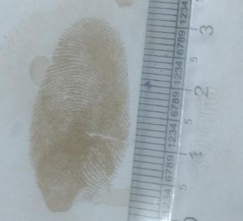 Figure 9: Development of latent fingerprints on Ceramic Surface
