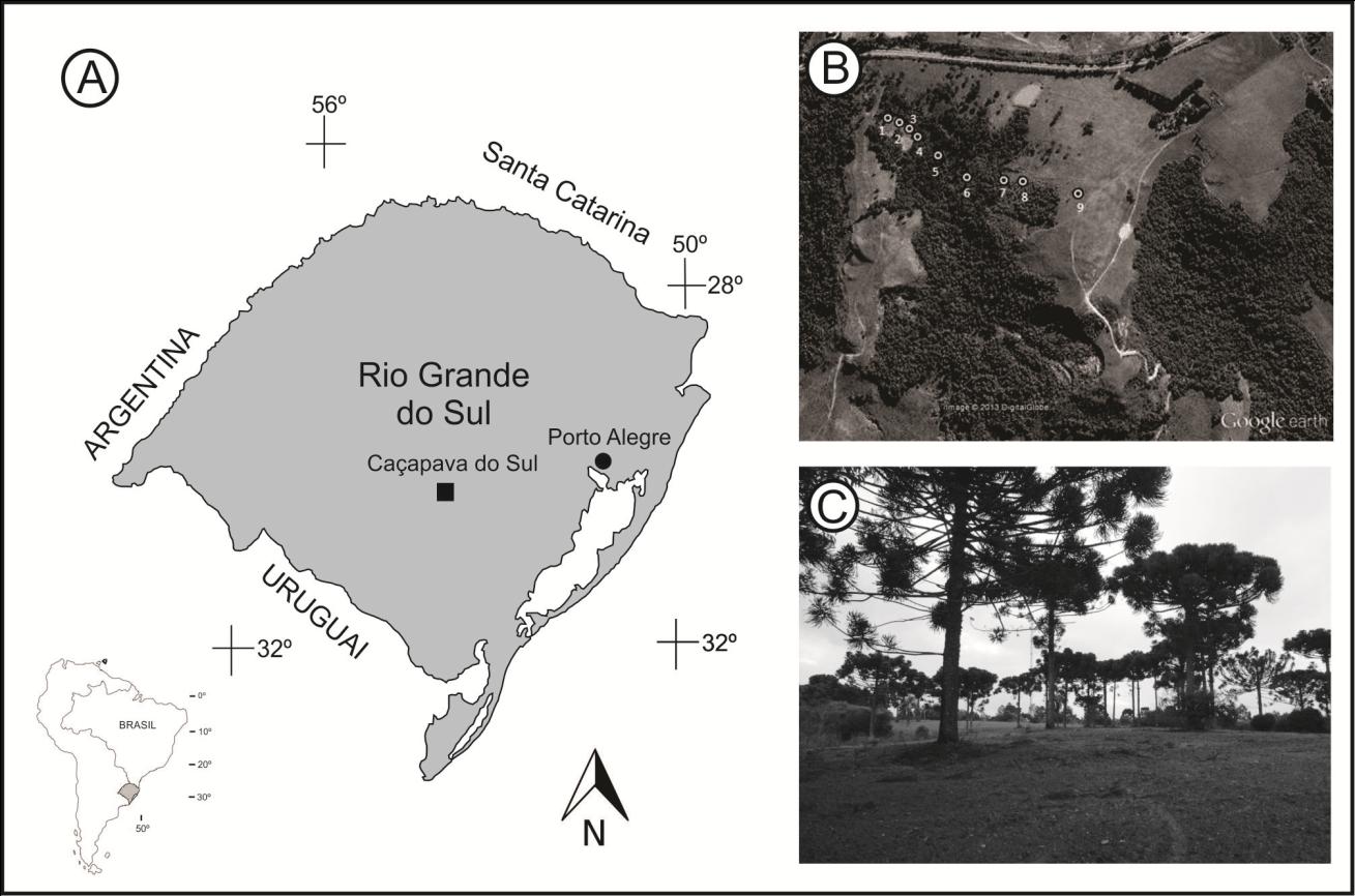 Figure 1: Location of the study area with sampling points.